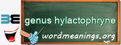 WordMeaning blackboard for genus hylactophryne